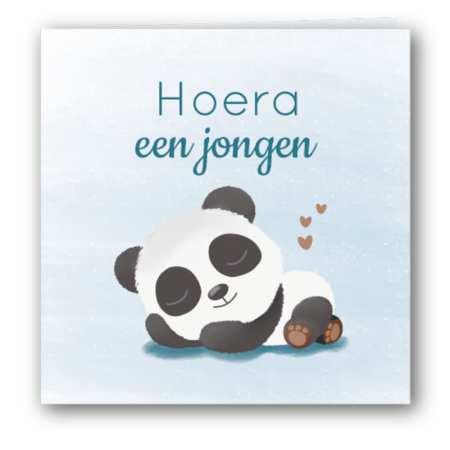 Felicitatiekaart jongen met slapende panda