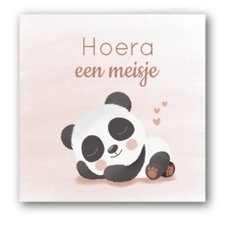 Felicitatiekaart meisje met slapende panda