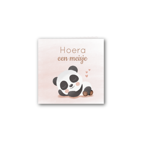 Felicitatiekaart meisje met slapende panda