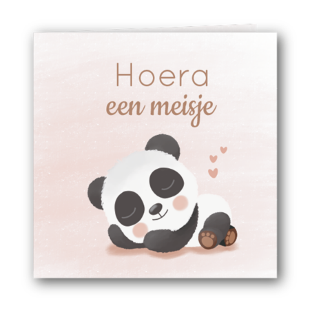 Geboortekaartje slapende panda meisje met foto