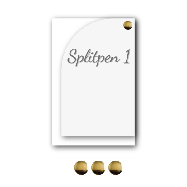 Splitpen_1 goud rond